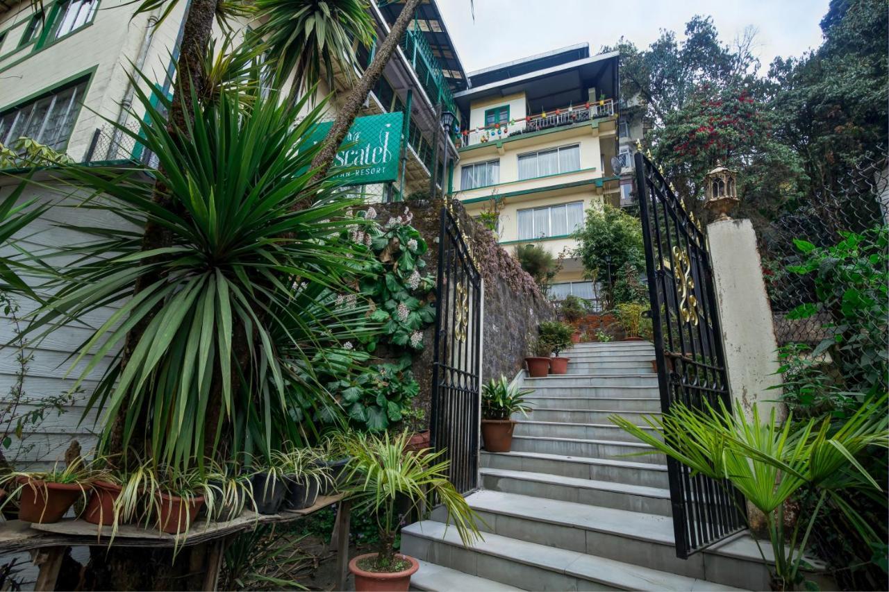 Muscatel Himalayan Resort - 400 Mts From Mall Road Darjeeling  Exterior foto